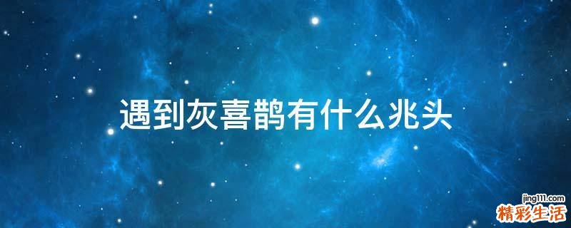 遇到灰喜鹊有什么兆头