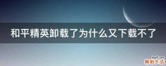 和平精英卸载了为什么又下载不了