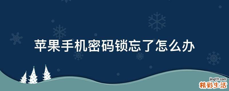 苹果手机密码锁忘了怎么办