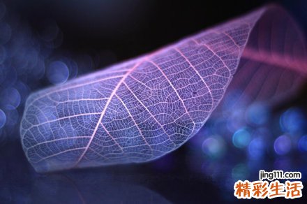 患青光眼花生和蜂蜜少不了