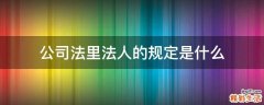 公司法里法人的规定是什么