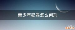 青少年犯罪怎么判刑