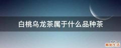 白桃乌龙茶属于什么品种茶