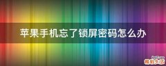 苹果手机忘了锁屏密码怎么办