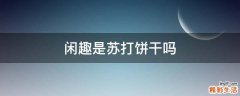 闲趣是苏打饼干吗