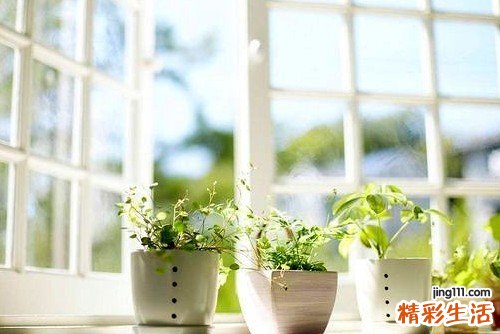 胆囊息肉会变成癌吗