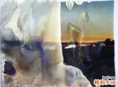 肩胛高，肋骨、颈畸形