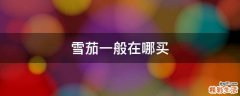雪茄一般在哪买