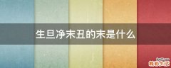 生旦净末丑的末是什么