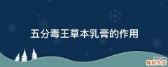 五分毒王草本乳膏的作用
