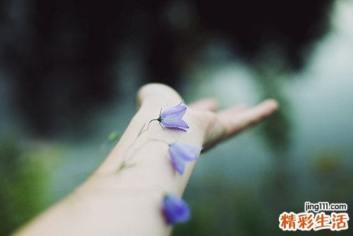 看症状，选择方法