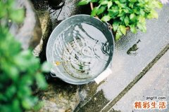 保护关节的食物