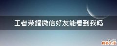 王者荣耀微信好友能看到我吗