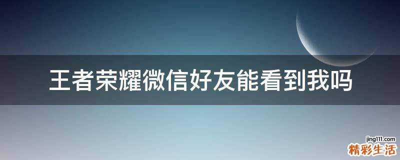 王者荣耀微信好友能看到我吗