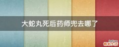 大蛇丸死后药师兜去哪了