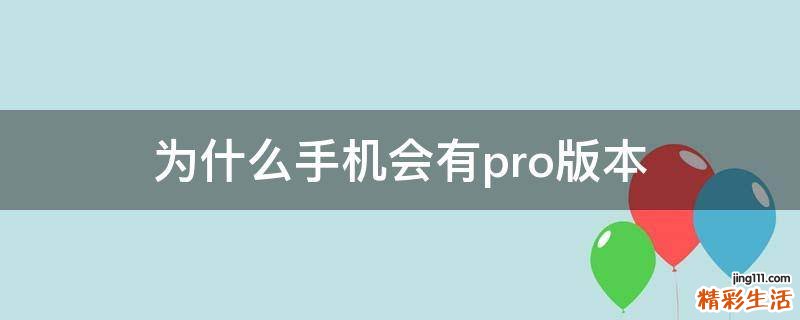 为什么手机会有pro版本