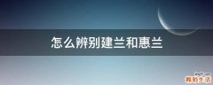 怎么辨别建兰和惠兰