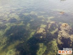 正确使用眼药水6项注意