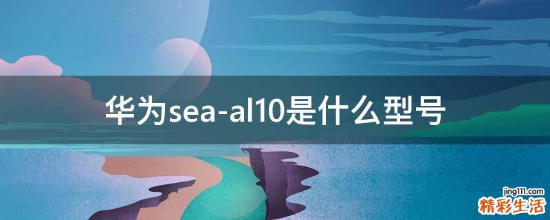 华为sea-al10是什么型号