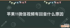 苹果11微信视频有回音什么原因