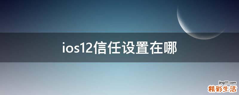 ios12信任设置在哪