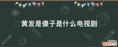 黄发是傻子是什么电视剧
