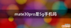 mate30pro是5g手机吗