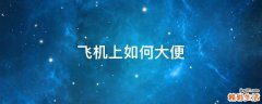 飞机上如何大便