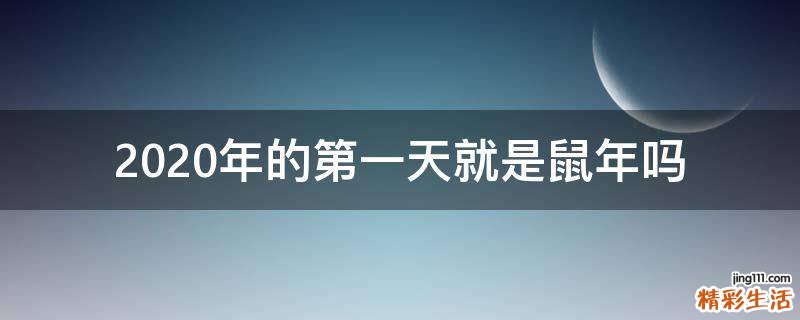 2020年的第一天就是鼠年吗