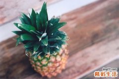 4 大接骨丹