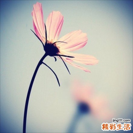 卵巢囊肿的最佳治疗方法