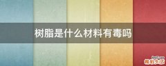 树脂是什么材料有毒吗