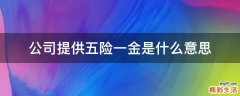 公司提供五险一金是什么意思