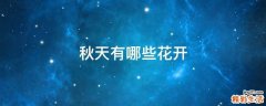 秋天有哪些花开