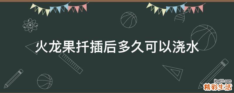 火龙果扦插后多久可以浇水