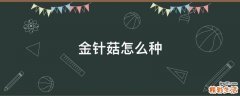 金针菇怎么种
