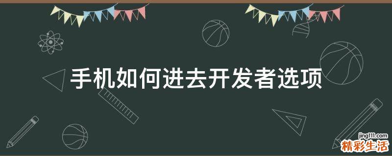 手机如何进去开发者选项