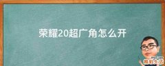 荣耀20超广角怎么开