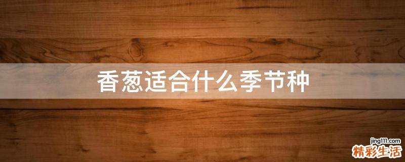 香葱适合什么季节种