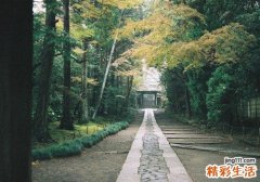 2 枸杞子应用与配伍