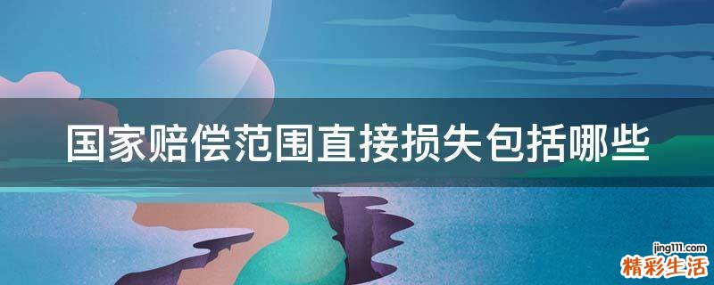 国家赔偿范围直接损失包括哪些