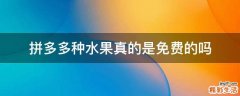 拼多多种水果真的是免费的吗