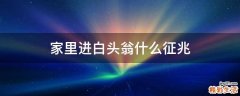 家里进白头翁什么征兆