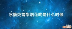冰糖炖雪梨烟花吻是什么时候