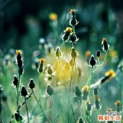什么体质不适合艾灸