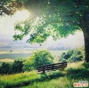 发烧艾灸灸哪里