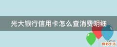 光大银行信用卡怎么查消费明细