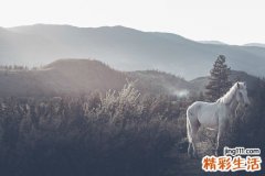 帕金森氏病是什么