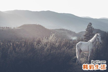 帕金森氏病是什么
