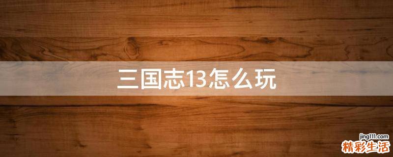 三国志13怎么玩